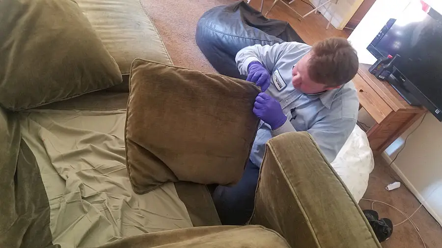 A person in work attire and gloves cleaning or disinfecting the interior of a room with furniture