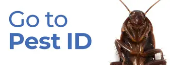 The image shows a close-up view of a brown insect, possibly a cockroach or similar pest, with the text 'Go to Pest ID' written above it.