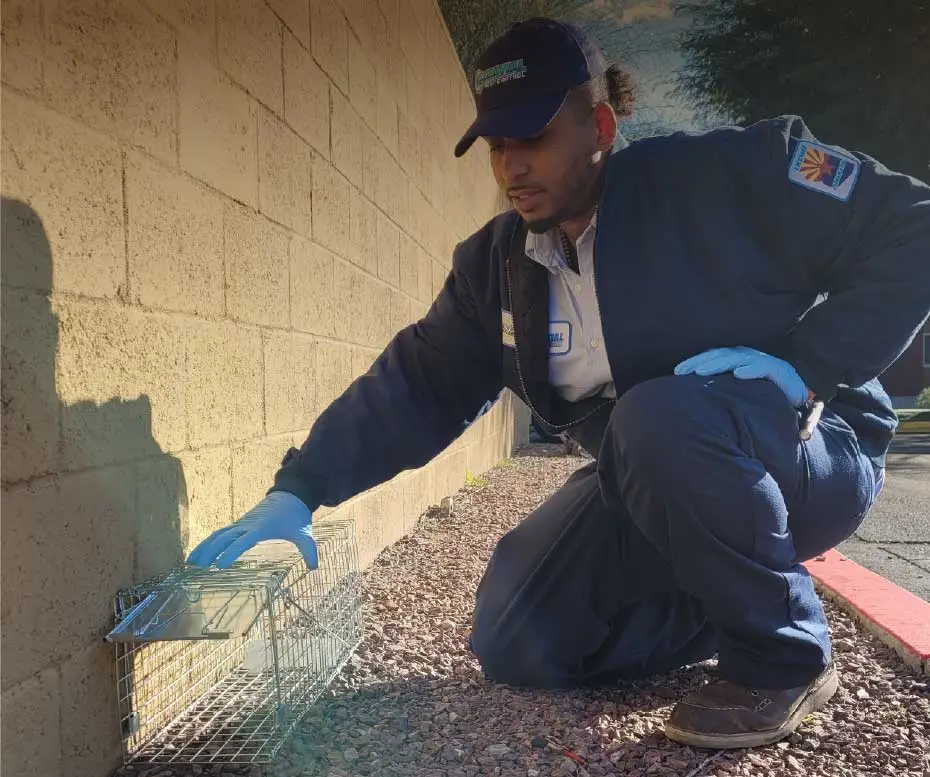 An image showing a person in a blue uniform and protective gloves kneeling down and inspecting or working on something on the ground, possibly performing maintenance or repair work.