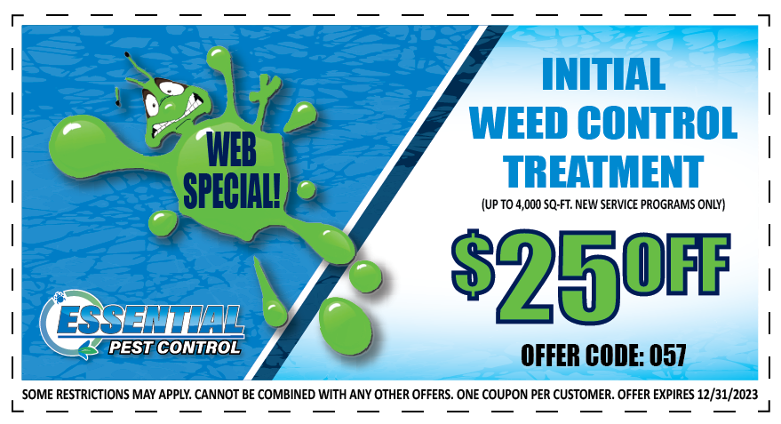 Essential Pest Control Web Special offer