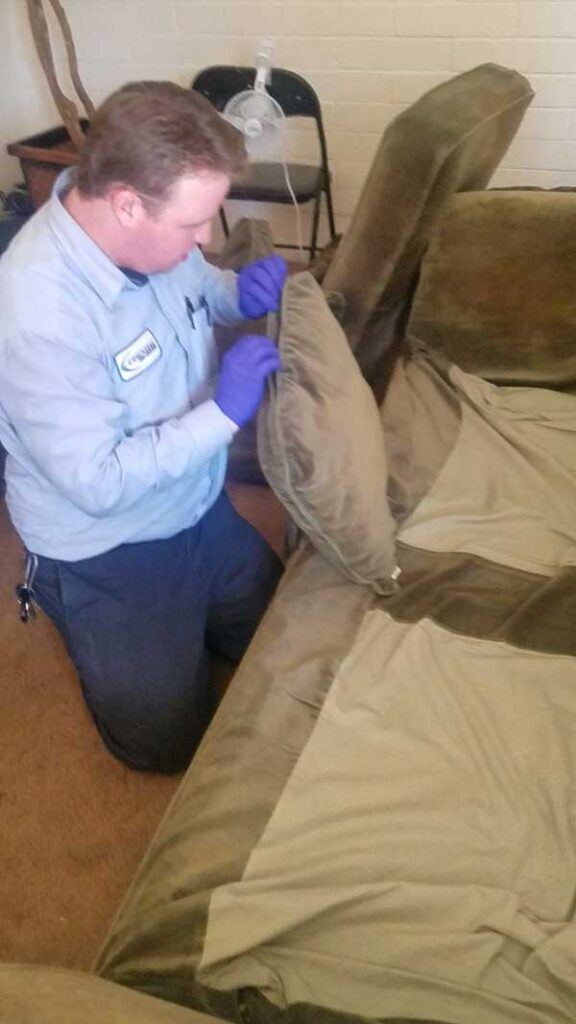 Bed Bug Treatment Tucson, AZ Essential Pest Control
