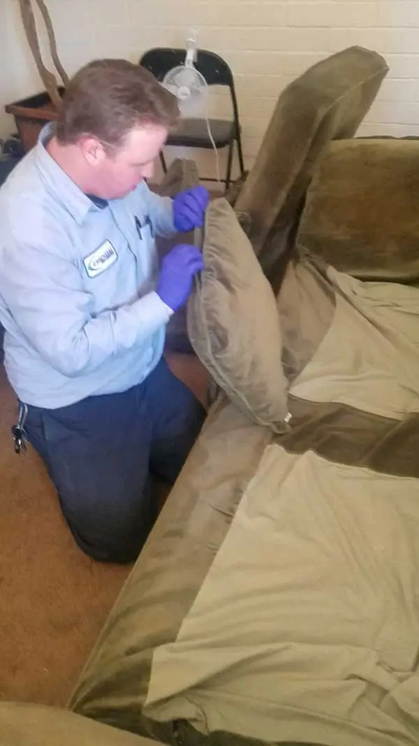 An image showing a person in a blue uniform using a handheld device to inspect or treat an area.