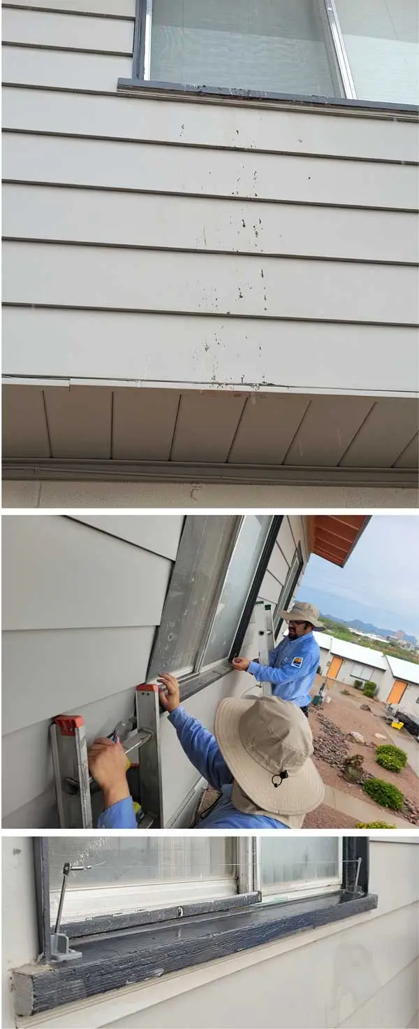 The image shows the exterior of a building with damage to the siding, including cracks and peeling paint. In the second image, a worker is shown inspecting and repairing the damaged siding. The third image provides a closer view of the damaged siding on the building.